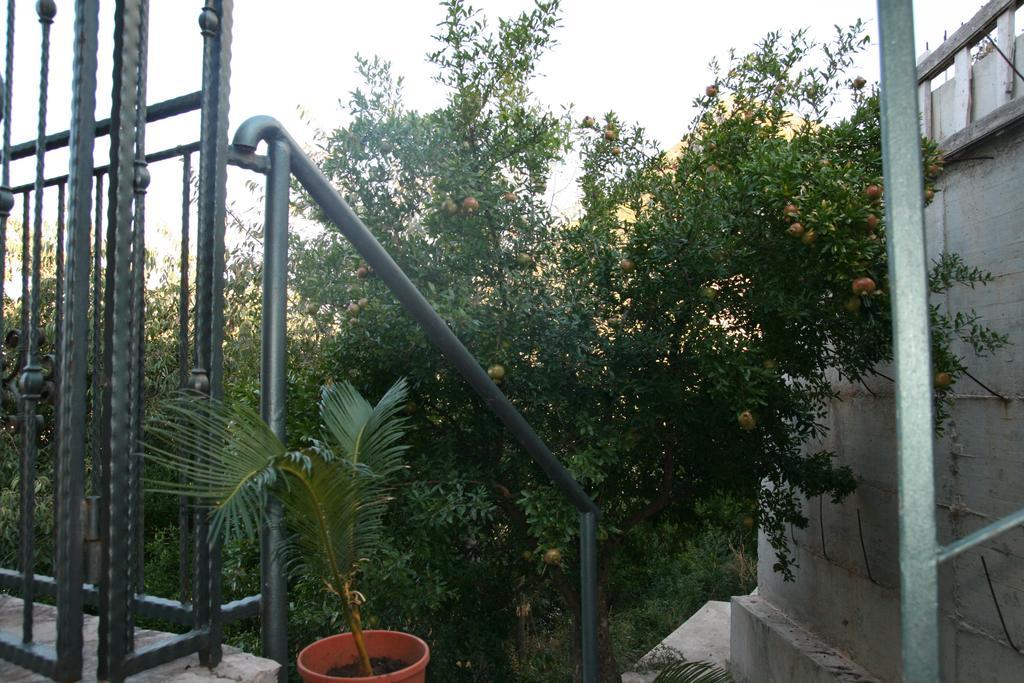 Apartments Villa Cucuk Budva Exterior foto